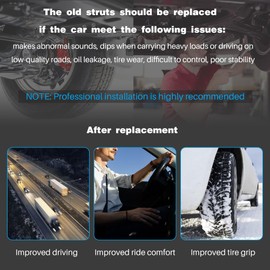 EWLSAC Front Pair Complete Quick Struts Suitable for Chevy Sonic 2012-2020 1333742L 1333742R