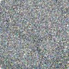 Silver Hologram Glitter Dust, recipiente de 5 g