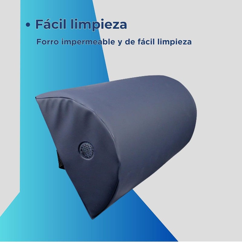 ICUS Cojín Lumbar con Memory Foam, Soporte para Espalda, Corrector