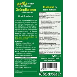 Substral Substral Dünger-Stäbchen für Grünpflanzen mit Eisen-Plus und 2 Monate Langzeitwirkung, 30 Stück