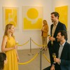 4PCS Yellow Velvet Rope – 5FT VIP Rope Barrier with
