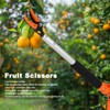 Fruit Picker Scissors Cutter for Grapes Peach Branch Pruning Shears
