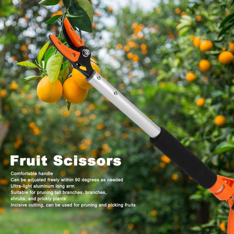 Fruit Picker Scissors Cutter for Grapes Peach Branch Pruning Shears