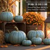 Exotic Blue Pumpkin Seeds | 20 Seeds Packet | Blue