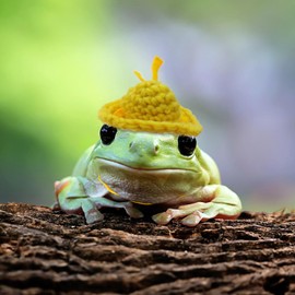 pranovo 3 Pack Frog Hats Tree Frog Accessories for Terrarium Snake Hats for Ball Python Corn Snake Hat Tiny Pet Hat