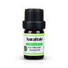 AuraHale Organic Lemongrass Essential Oil – 100% Pure & Undiluted