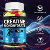 SHAPEINGIRL Creatine Monohydrate Gummies - Clean Creatine for Women Men