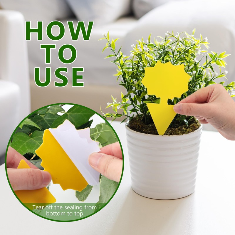 Fruit Fly Traps Indoor Fungus Gnat Trap 48PCS for Plants