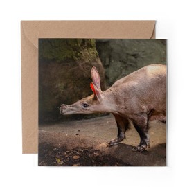 1 x Greeting Card Bald Aardvark African Animal - Blank Birthday Celebration Anniversary #12368