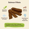 Pet 'n Shape Salmon Fillets, 16 oz - Healthy, Protein