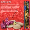 Satya Nag Champa Natural Incense Sticks | x12 pack |