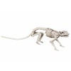 Boland 72155 Rat Skeleton, 35 cm