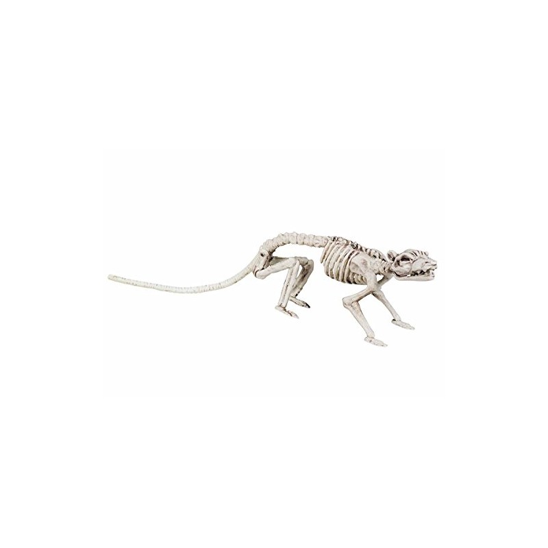 Boland 72155 Rat Skeleton, 35 cm