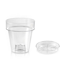 Teraplast Vase Port with Support for Orchids Transparent Diameter 16 cm Complete with Saucer (2)