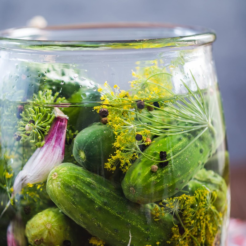 The Old Farmer's Almanac Organic Dill (Bouquet) Seeds - Approx