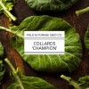 Field and Forage Seed Co. Collard 'Champion' | Brassica oleracea