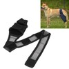 Dog Knee Brace Accelerate Recovery and Blood Circulation Dog Torn