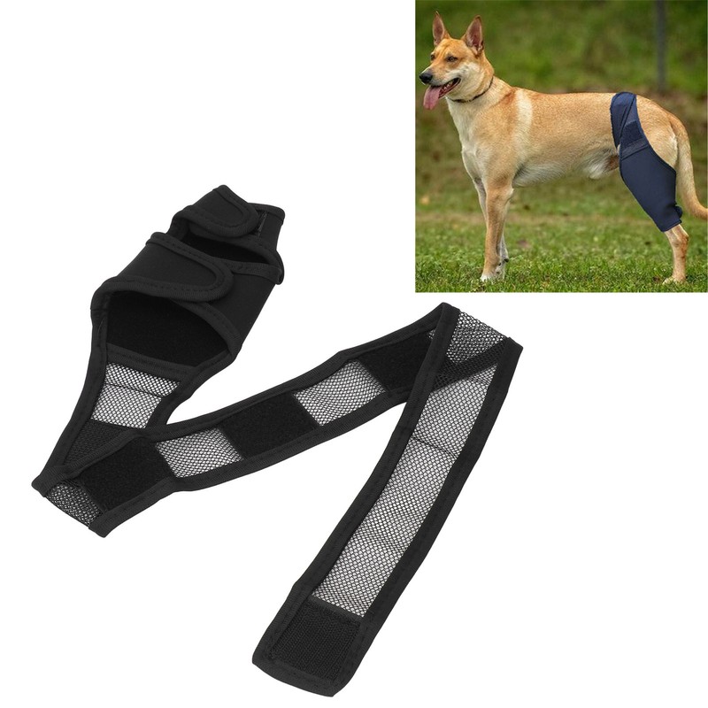 Dog Knee Brace Accelerate Recovery and Blood Circulation Dog Torn