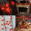Valentines Heart Decoration Lights 6.8Ft String Lights Battery Operated 10