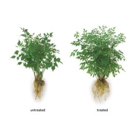 SoilMoist 3oz Mycorrhiza Transplant Formula with 0.8-0.4-0.4 Fertilizer Tree Shrubs Plants