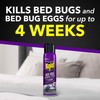 Raid Bed Bug Foaming Spray, Kills Bed Bugs and Their