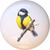 Great Tit Birds Ceramic Dresser Drawer Pulls Cabinet Knobs