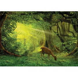 Educa Borras 17958 500 Small Deer Puzzle, Multi-Colour