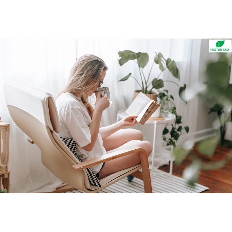 Naturejam Estafiate 8 Ounce Bag-100% Natural Wildcraft-No Processing aka Mugwort