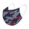 Easton Sports Mask, Stars and Stripes, with Reversible Navy (8073079)