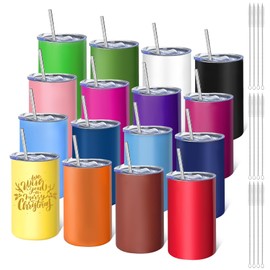 YOUKE OLA 16 Pack Stainless Steel Skinny Tumblers 12oz - Bulk Straight Double Wall Vacuum Insulated Tumbler with Lid and Straw for Travel, DIY, 16 Colors