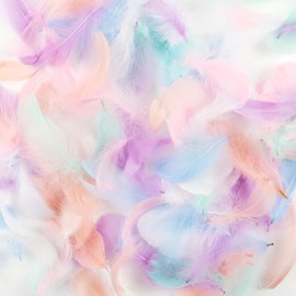 WJWINER Pack of 400 Feathers, Feathers for Crafts, Craft Feathers, Colourful Feathers for Crafts, Fluffy Feathers, for DIY Crafts, Decoration, Easter, Christmas Decoration Figure (Macaron Colour)