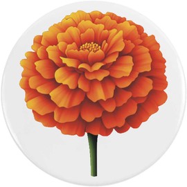 Azeeda 2 x 38mm 'Afrikanische Ringelblume ' Pin Knopf-Abzeichen (BB00138381)