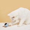 Cat Active Rolling Ball Colourful Light Circularly Charging Electric Automatic