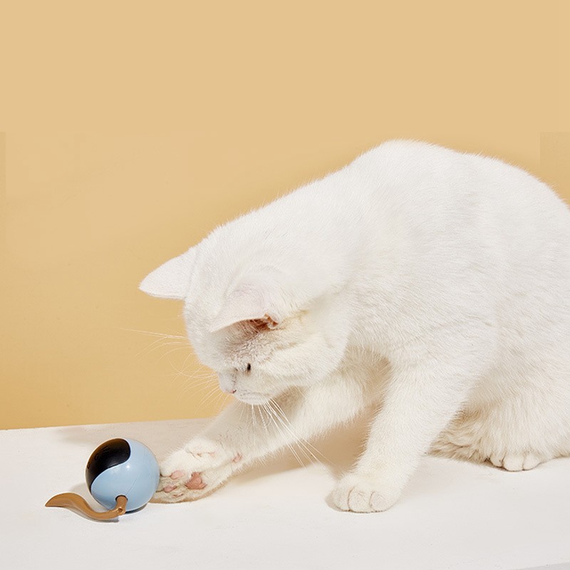 Cat Active Rolling Ball Colourful Light Circularly Charging Electric Automatic