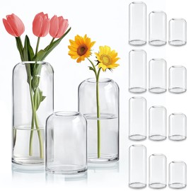 ComSaf Small Flower Vase Set of 15, Glass Bud Vases in Bulk, Clear Vases for Flower, Decor Centerpiece for Bathroom, Decorative Vases for House Warming, Valentines' Day, Mother's Day, Thanksgiving Day