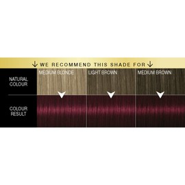 Schwarzkopf Oleo Intense Permanent Burgundy Hair Dye, Oil Enriched, Ammonia Free, Up to 100 Percent Grey Coverage, Burgundy Red 4-23