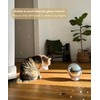 Mirror Ball Diffuser – Cute Essential Oil Diffuser and Humidifier