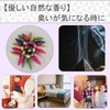 SCGEHA Nagarekawa Incense Set, Incense, Incense, Smoke Flowing Down Assortment,