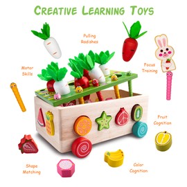 Achiyway Wooden Toys for 3 4 5 Years Old Boys Girls, Toddler Toys Educational Sensory Toys, Kids Motor Skills Fishing Games and Montessori Toys for Baby Birthday Gifts(fruit toys)