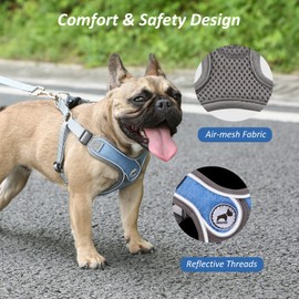 Dog Harness with Leash Set, No Pull Adjustable Step in Collars Harness with Breathable Padded Vest for Small Medium Large Dogs Training and Running(S, Blue)