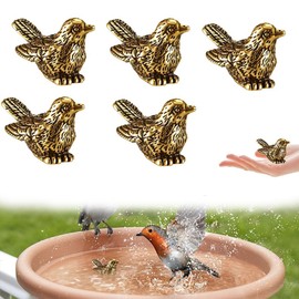 5 Pcs Copper Bath Disk Ornaments Bird Bath Copper Disk, Copper Cleaning Disk Purification Disks for Physical Safe Clean Water All-Season, Universal Fit for Outdoor Birdbaths, Bowl