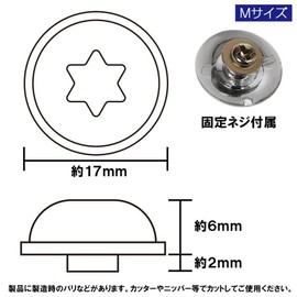 Nexus Japan JB64W Dummy Bolts for Over Fenders, Set of 10, Silver, 0.7 inches (17 mm), Torx Type, Star Screws, Screw