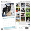 Baker and Bray Boston Terrier Calendar 2025, Large Square Wall