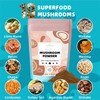 10 Mushrooms Powder, Mushroom Supplement Blend for Coffee, Beverages &