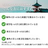 Kyoto Ujitawara Tea Koyoen Organic Uji Matcha 1.1 oz (30