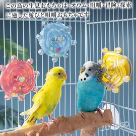 JUJUGO Parakeet Toy, Bird Nibbling Toy, Rotary Toy, Parrot, Cockatiel, Budgie Educational Toy, Stress Relief