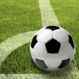 50 Servietten, 3-lagig 1/4-Falz 33 cm x 33 cm "Fussball" Football