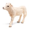 Papo 51157 Animals Charolais Calf Game, Multicolor, Medium