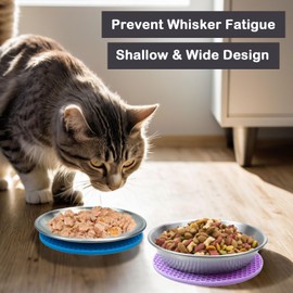 RMNHPTK 6 Inch Whisker Friendly Cat Bowl Dish Set, Stainless Steel Cat Plate with Non-Slip Mats Prevent Whisker Fatigue Pet Dish for Wet & Dry Food (Bowl+Dish, 6")