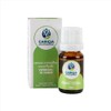 CARICIA AROMÁTICA — Esencia Aromática Concentrada de VERBENA y TÉ